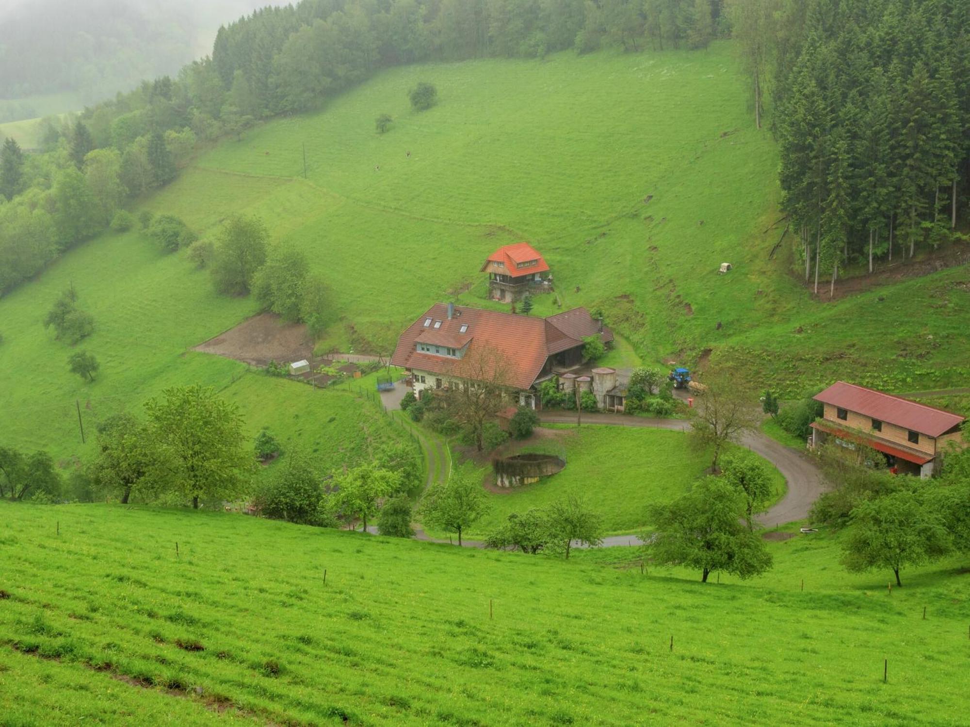 Cosy Farmhouse Apartment At The Edge Of The Forest Mühlenbach Kültér fotó