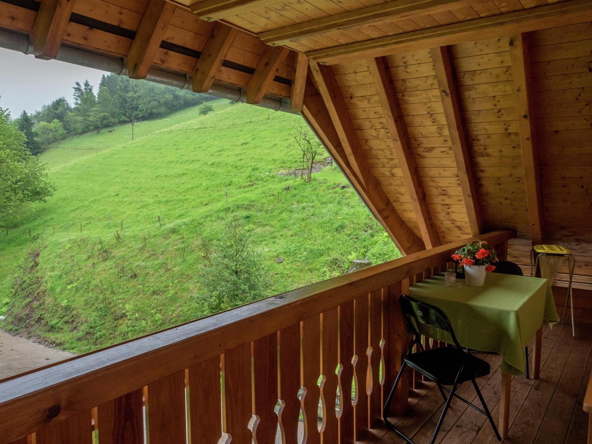 Cosy Farmhouse Apartment At The Edge Of The Forest Mühlenbach Kültér fotó