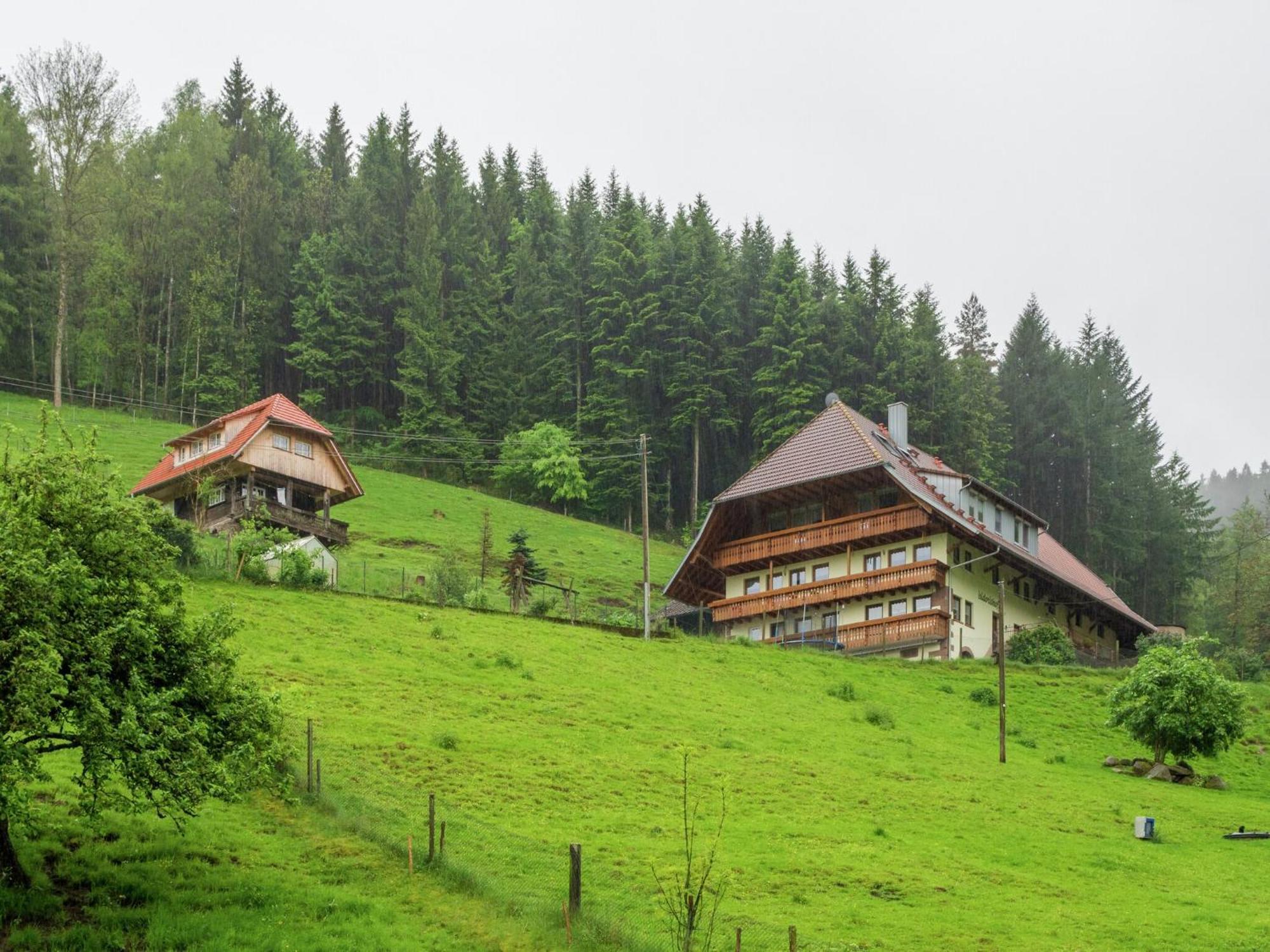 Cosy Farmhouse Apartment At The Edge Of The Forest Mühlenbach Kültér fotó